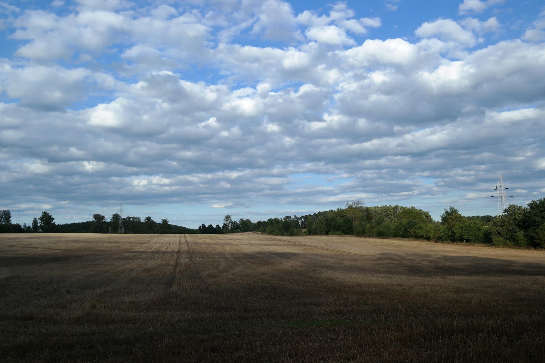 vast rural landscape under a blue sky