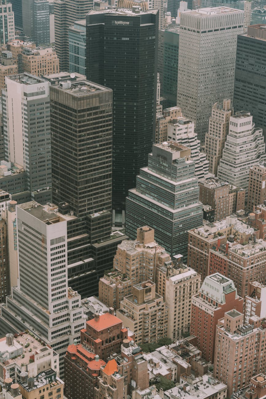 new york city